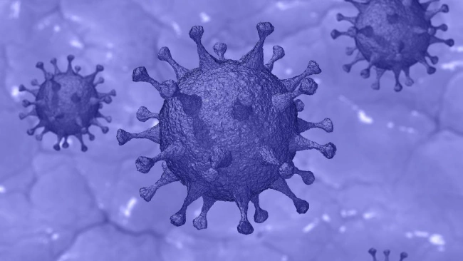 Власти США заявили об ускорении распространения коронавируса  в стране
