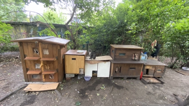На Васильевском острове появились домики для бездомных котов