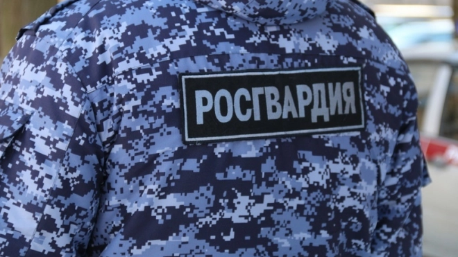 В Петербурге задержан мужчина, стрелявший из окна в прохожую