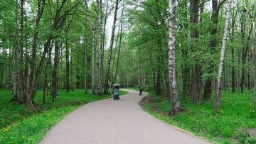 13 парков, садов и скверов Петербурга закроют из-за погодных условий