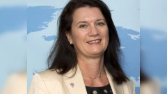 Глава МИД Швеции Линде: Стокгольм не будет запрашивать членство в НАТО