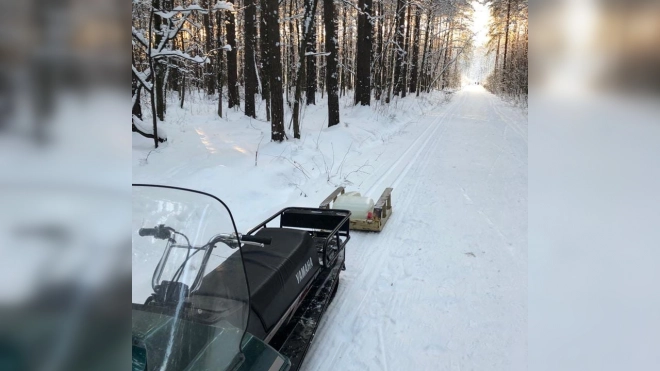 В Ржевском лесопарке открыли лыжню протяженностью более 8 км