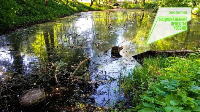 Парковые водоемы в Гатчине очистят от донных отложений