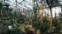 Ботанический сад Петербурга закрывает оранжереи из-за аномальной жары