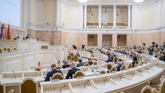 В ЗакСе Петербурга поддержали публикацию обезличенных деклараций депутатов