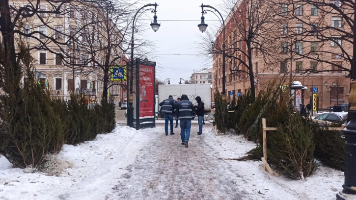 В Петербурге за неделю прикрыли 20 нелегальных елочных базаров 