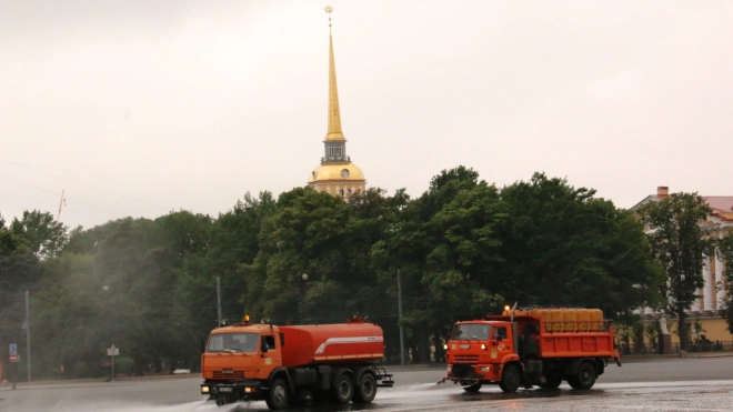 Дорожные и садово-парковые предприятия Петербурга продолжат работу в усиленном режиме до 31 июля