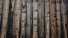 Убытки РФ от экспорта древесины в 2023 году составили 22 млрд рублей