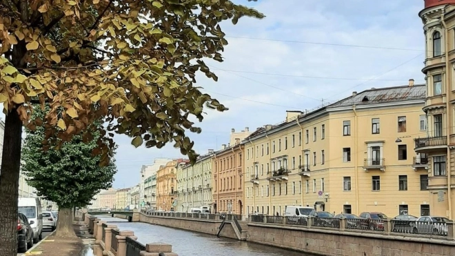 Циклон сохранит в Петербурге дождливую погоду 4 августа