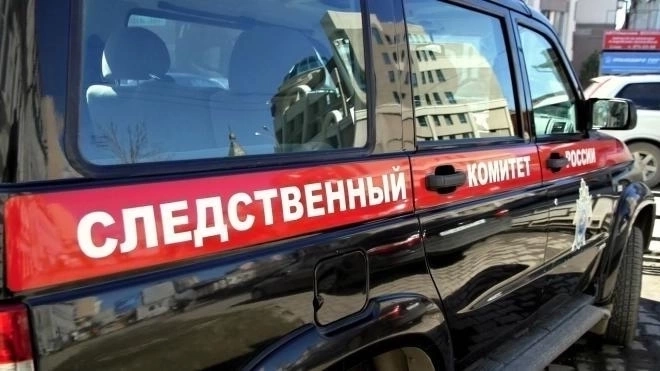 СК РФ проверит обстоятельства падения школьника с перил в Петербурге 