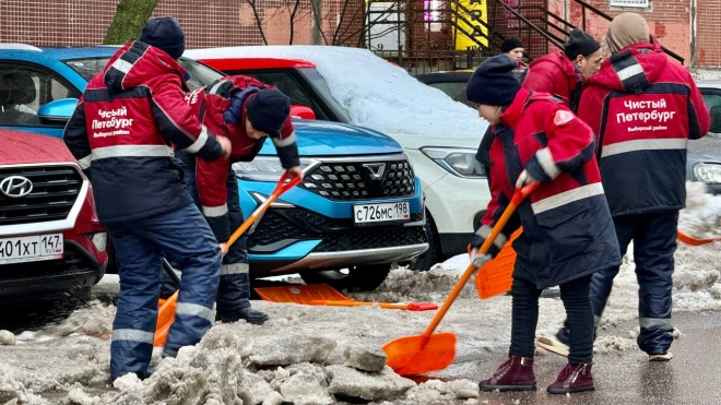 В Выборгском районе убирают снег более 340 дворников и 62 машины