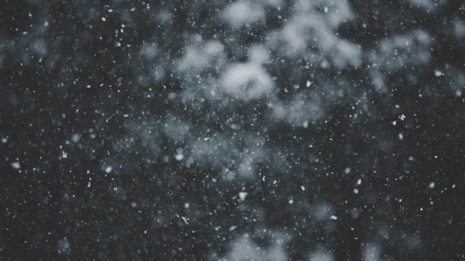 В Ленобласти 15 ноября возможно налипание мокрого снега