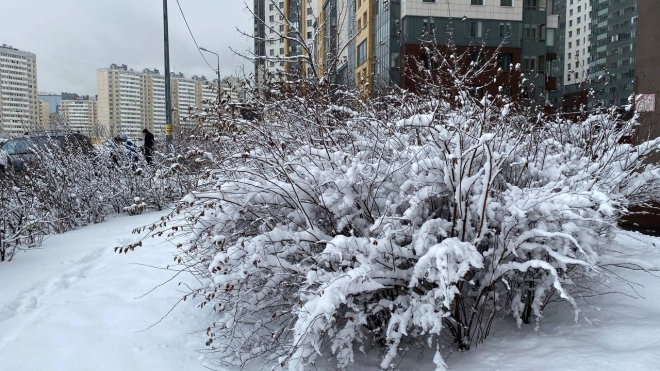 В Петербурге 6 марта ожидается снег и до -2 градусов