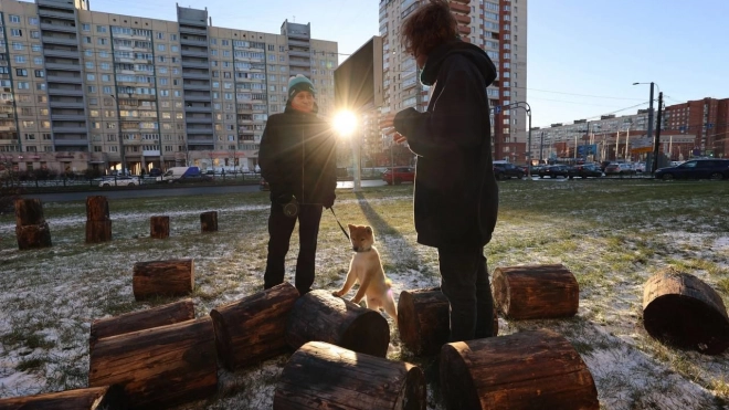 На проспекте Косыгина появился арт-объект "Городки" 