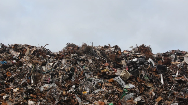 В Московском районе ликвидируют несанкционированную свалку отходов в рамках госконтракта