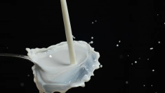 СМИ говорят о намерениях производителей поднять отпускные цены на молоко, Минсельхоз заявляет об их стабильном уровне