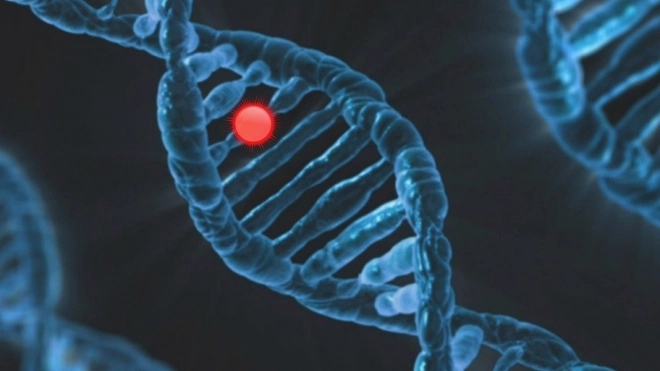 Ученые создали наноантенну из молекул ДНК 