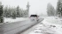 Жителям Ленобласти пообещали мокрый снег и сильный ветер 20 января 
