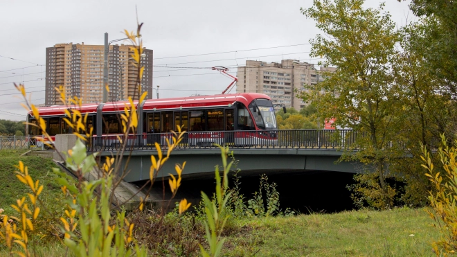 Трамвайную экскурсию по маршруту Оранэлы запустят в Петербурге