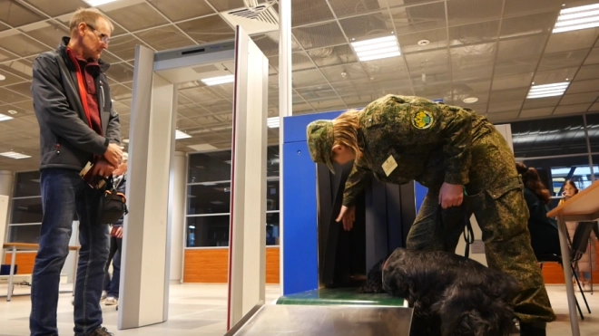 В Россию из-за границы пытались провезти 305 кг "лишней" животной продукции