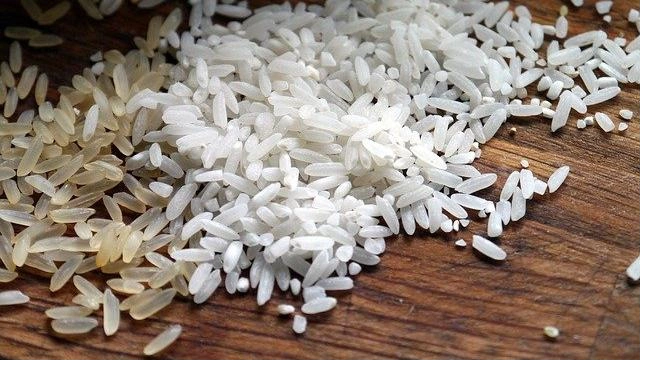 В МАПП "Торфяновка" в Ленобласти выявлен факт незаконного ввоза 19 тонн индийского риса