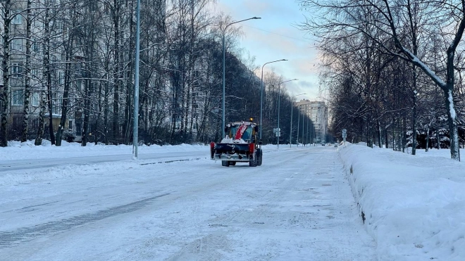 В уборке центра Петербурга после Нового года участвовали почти 50 единиц спецтехники