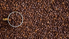 Цены на кофе достигли максимума за 16 лет 
