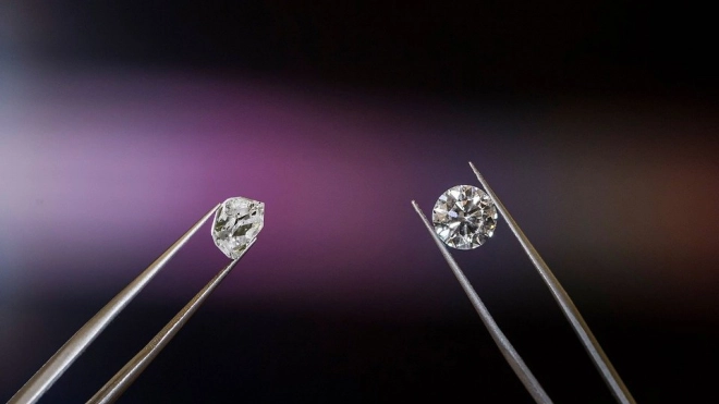 Глубинные алмазы могут состоять из останков древних животных 