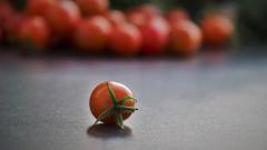 Россельхознадзор разрешил еще 15 предприятиям Азербайджана импорт помидоров в РФ