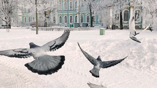 Вихри "Мари" и "Надя" принесут в Петербург облачную с прояснениями погоду