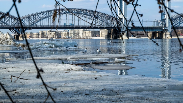 Минувший вторник в Петербурге стал самым теплым днем с начала зимы 