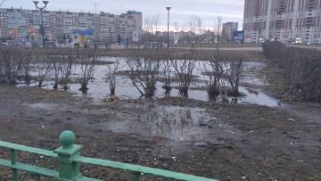 Парк Боевого Братства в Невском районе Петербурга превратился в болотное царство