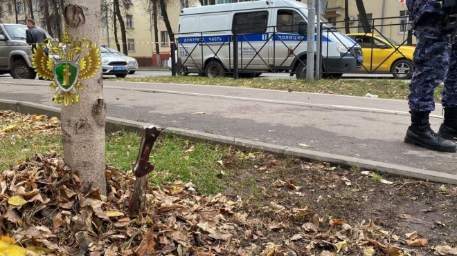 Очевидец прокомментировал нападение неадеквата на девушку с ребёнком в Люберцах