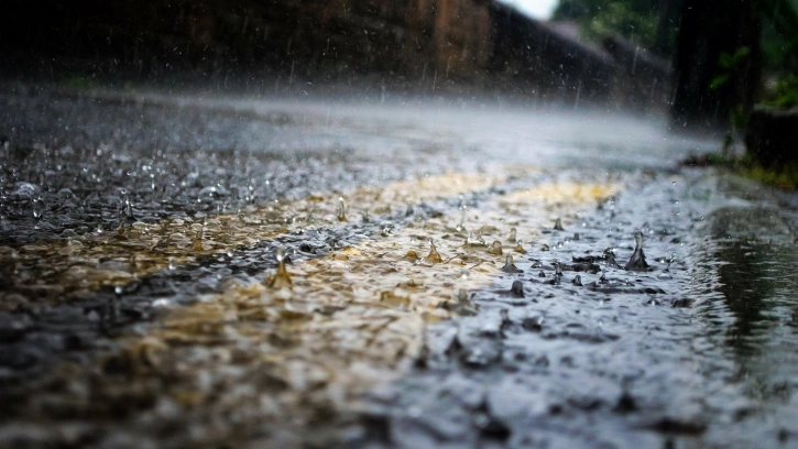 Затяжной дождь за сутки принес в Северную столицу более половины месячной нормы осадков