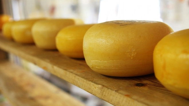 В Петербург не пустили 38 тонн швейцарского сыра