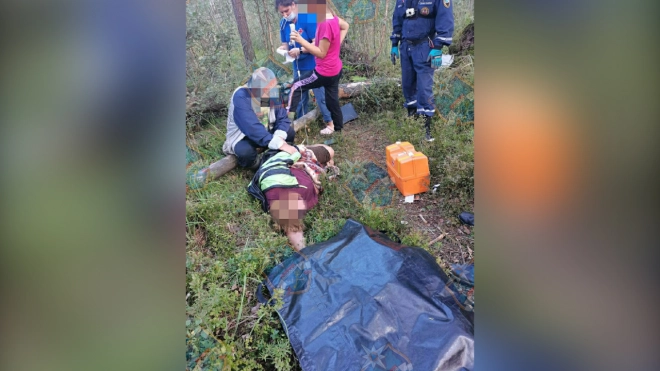 В Ленобласти эвакуировали женщину, обездвиженную после укуса гадюки