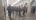 На станции метро "Технологический институт" пассажир упал на рельсы 
