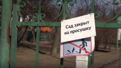 Сады и парки Петербурга закрылись на просушку 