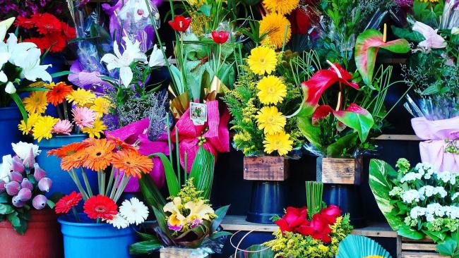 Поставщик цветов в Петербурге просит взыскать почти 4 млн рублей с компании-покупателя