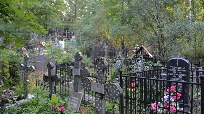 Смольный проведёт конкурс на обслуживание 42 городских кладбищ