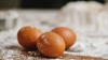 Ленобласть остается лидером по производству яиц в стране