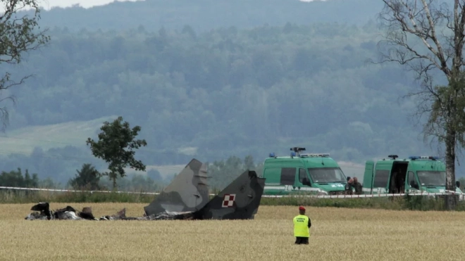 Польский МиГ-29 по ошибке обстрелял самолет напарника