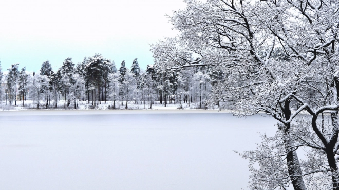 Погода в Петербурге: 18 декабря синоптики предупредили о мокром снеге и дожде