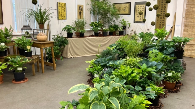 В Ботаническом саду 11 июля откроется выставка "400 оттенков зеленого"