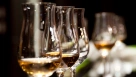 Выпуск игристых вин в РФ вырос на 43,6% за счет дешевых марок