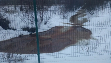 Росприроднадзор не нашел следов загрязнения в реке Охте