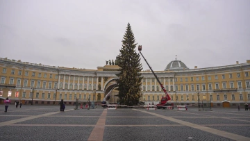 Новогоднюю ель на Дворцовой площади начнут устанавливать ...