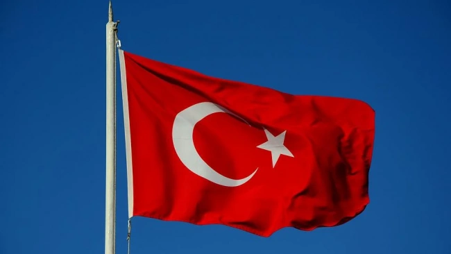 Эксперты проанализировали отношение Турции к вступлению Финляндии и Швеции в НАТО 