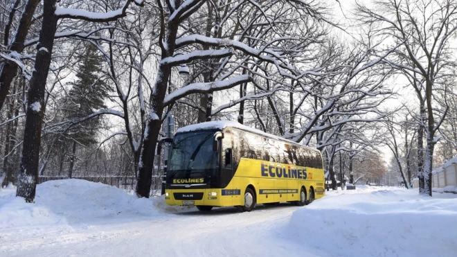 Депутат Латвии призвал отменить автобусные рейсы Петербург — Рига