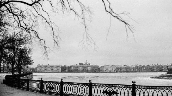 Мокрый снег и плюсовая температура ожидаются в Петербурге 14 декабря